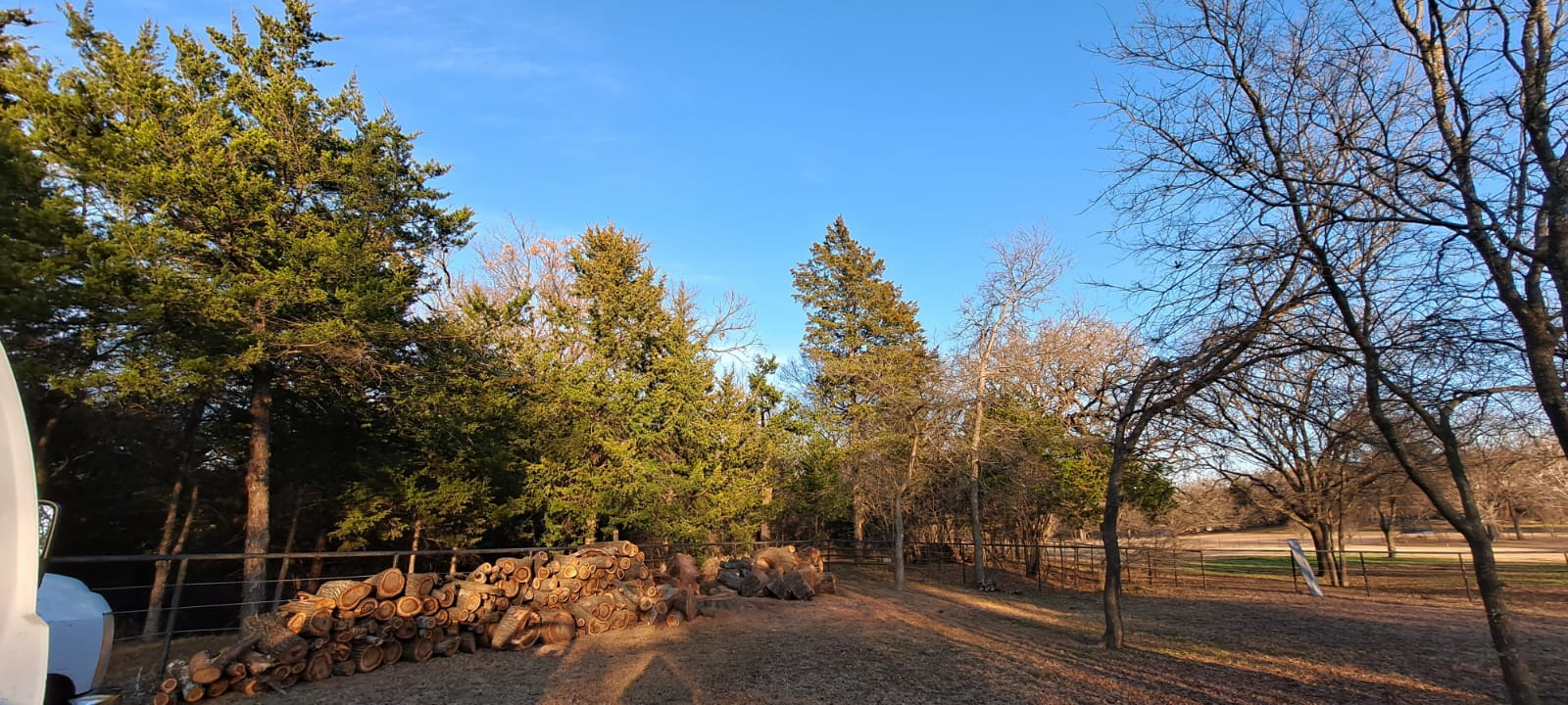 Country tree service Image